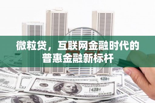 将军微粒贷，互联网金融时代的普惠金融新标杆