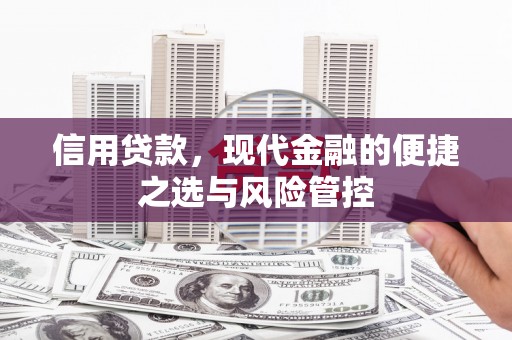 将军信用贷款，现代金融的便捷之选与风险管控