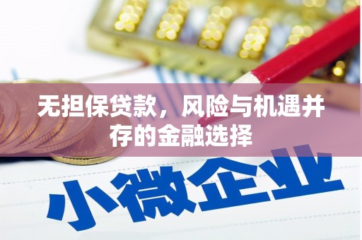 将军无担保贷款，风险与机遇并存的金融选择