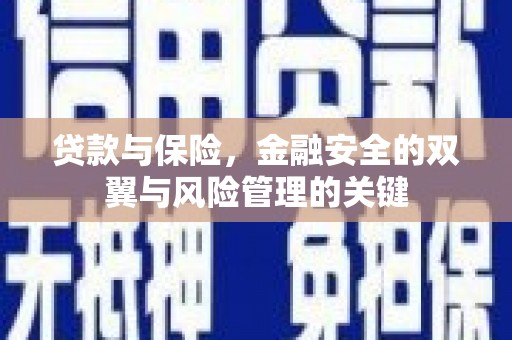 将军贷款与保险，金融安全的双翼与风险管理的关键
