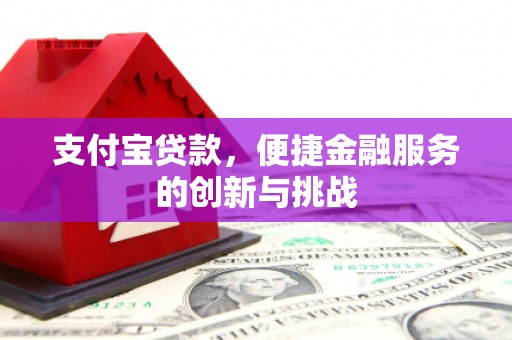 将军支付宝贷款，便捷金融服务的创新与挑战