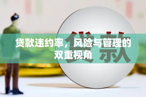将军贷款违约率，风险与管理的双重视角