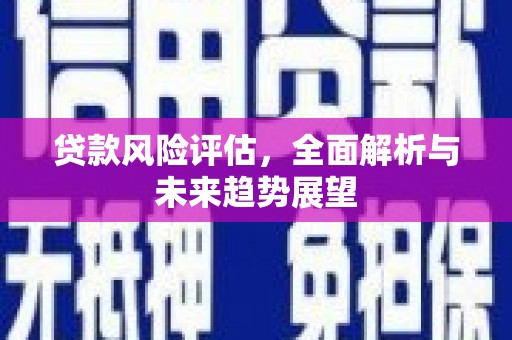 将军贷款风险评估，全面解析与未来趋势展望