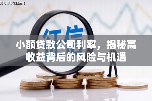 将军小额贷款公司利率，揭秘高收益背后的风险与机遇
