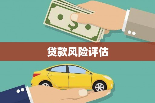 将军贷款风险评估