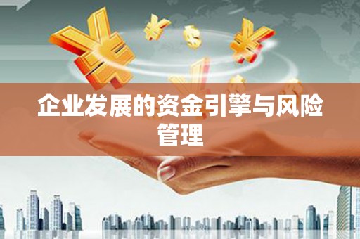 将军企业发展的资金引擎与风险管理
