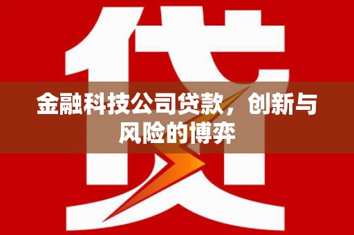 将军金融科技公司贷款，创新与风险的博弈