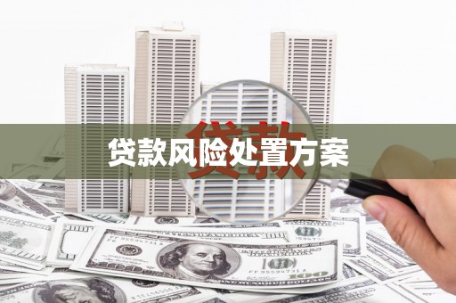 将军贷款风险处置方案