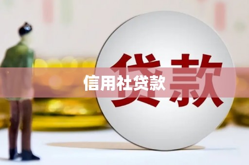 将军信用社贷款