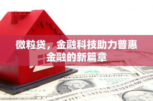 将军微粒贷，金融科技助力普惠金融的新篇章