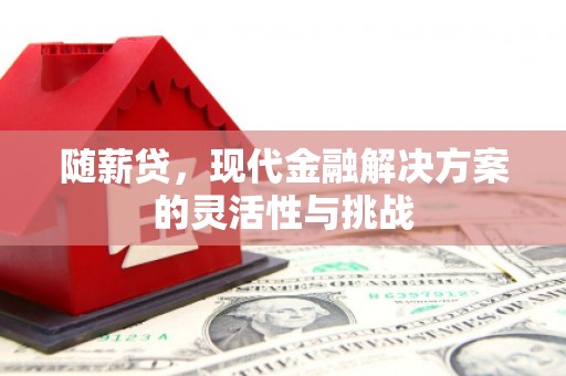 将军随薪贷，现代金融解决方案的灵活性与挑战