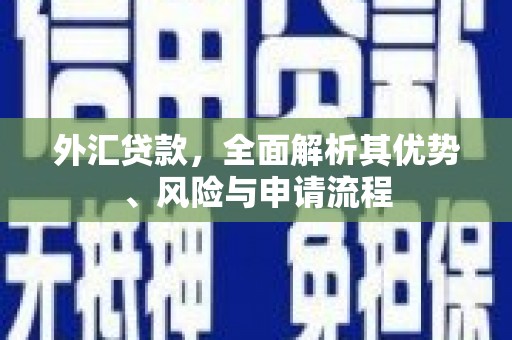 将军外汇贷款，全面解析其优势、风险与申请流程