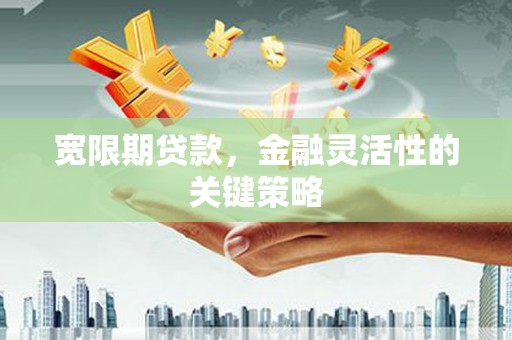 将军宽限期贷款，金融灵活性的关键策略