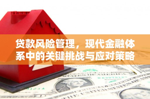 将军贷款风险管理，现代金融体系中的关键挑战与应对策略