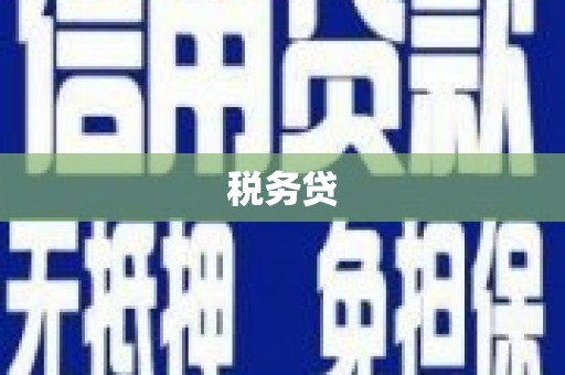 将军税务贷
