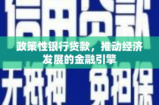 将军政策性银行贷款，推动经济发展的金融引擎