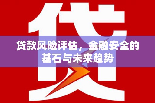 将军贷款风险评估，金融安全的基石与未来趋势