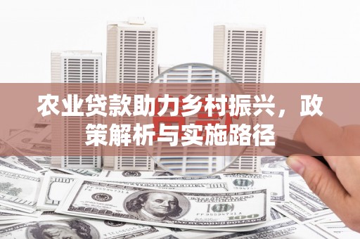将军农业贷款助力乡村振兴，政策解析与实施路径