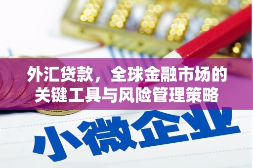 将军外汇贷款，全球金融市场的关键工具与风险管理策略