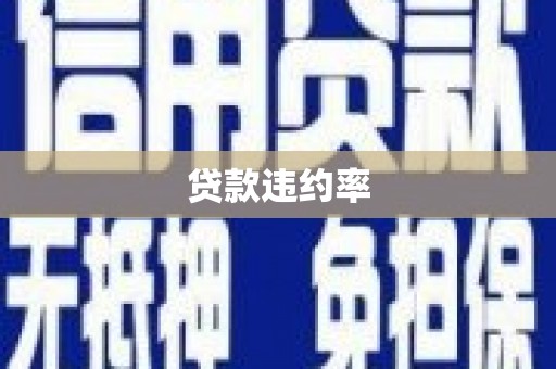 将军贷款违约率