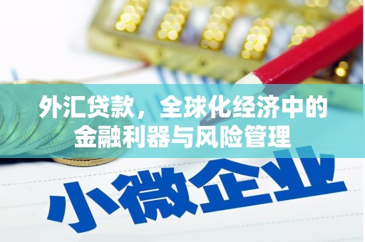 将军外汇贷款，全球化经济中的金融利器与风险管理