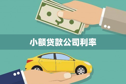 将军小额贷款公司利率