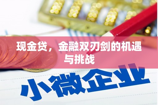 将军现金贷，金融双刃剑的机遇与挑战