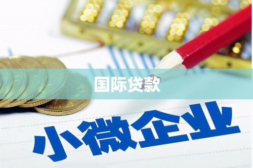将军国际贷款