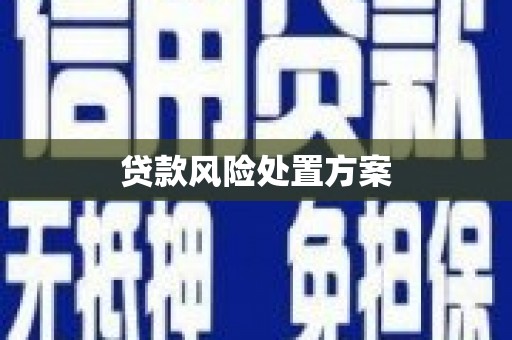 将军贷款风险处置方案