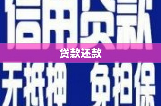将军贷款还款