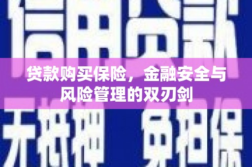 将军贷款购买保险，金融安全与风险管理的双刃剑