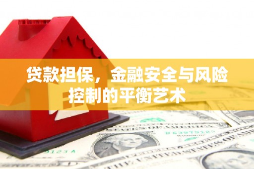 将军贷款担保，金融安全与风险控制的平衡艺术