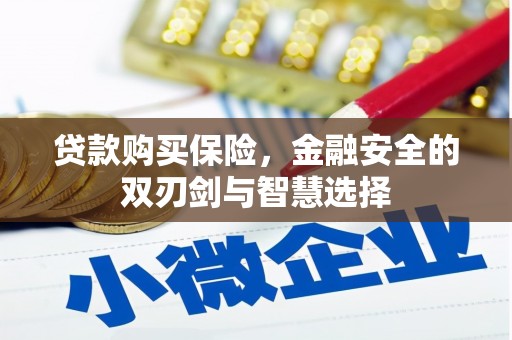 将军贷款购买保险，金融安全的双刃剑与智慧选择