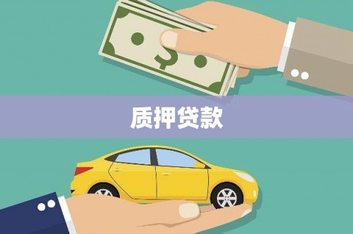 将军质押贷款