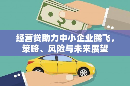将军经营贷助力中小企业腾飞，策略、风险与未来展望