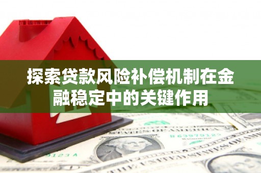将军探索贷款风险补偿机制在金融稳定中的关键作用