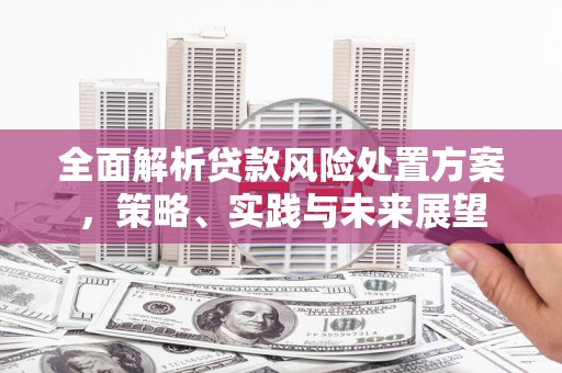 将军全面解析贷款风险处置方案，策略、实践与未来展望