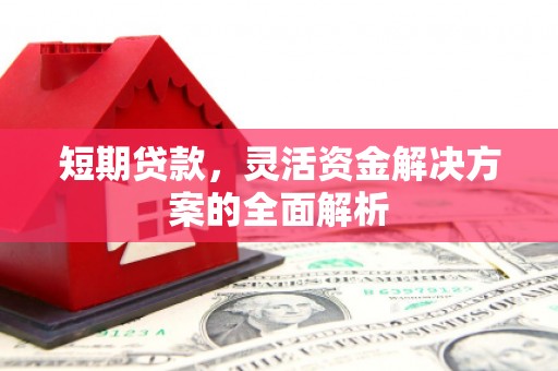 将军短期贷款，灵活资金解决方案的全面解析