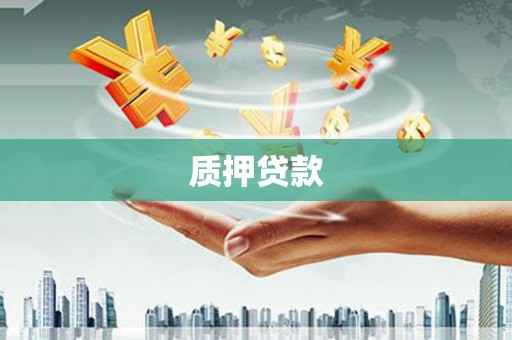 将军质押贷款