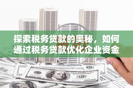 将军探索税务贷款的奥秘，如何通过税务贷款优化企业资金流
