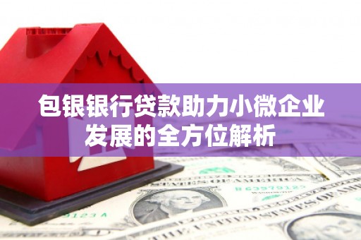 将军包银银行贷款助力小微企业发展的全方位解析