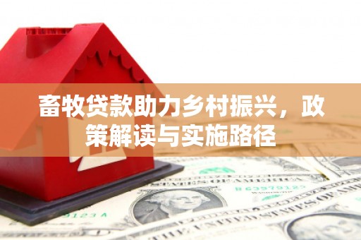 将军畜牧贷款助力乡村振兴，政策解读与实施路径