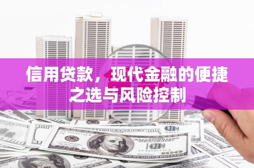 将军信用贷款，现代金融的便捷之选与风险控制