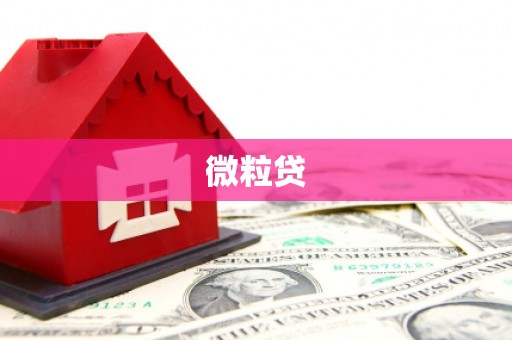 将军微粒贷