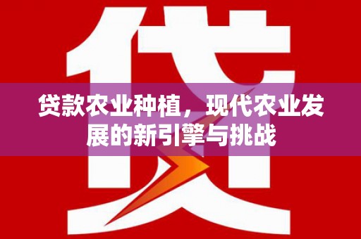 将军贷款农业种植，现代农业发展的新引擎与挑战
