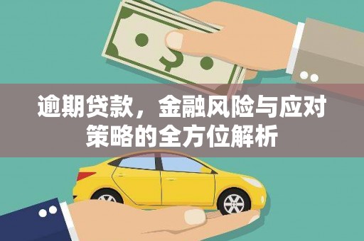 将军逾期贷款，金融风险与应对策略的全方位解析