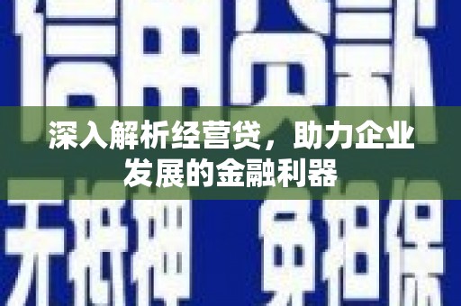 将军深入解析经营贷，助力企业发展的金融利器