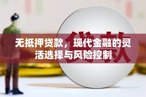 将军无抵押贷款，现代金融的灵活选择与风险控制