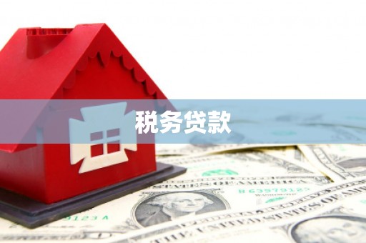将军税务贷款
