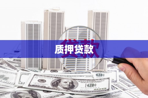 将军质押贷款